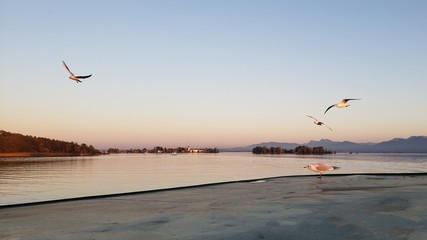 travel and environment tourism in Germany