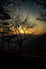 Sunrise behind the trees - bisle ghat view point