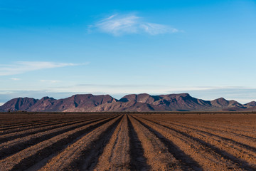 Fototapeta na wymiar Rows of bare plowed earth in perspective to distant mountains