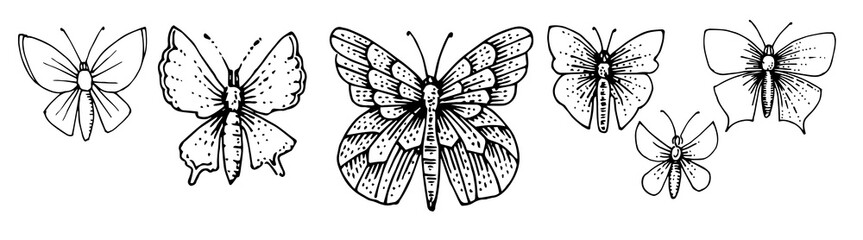 Hand drawing butterflies. Vector is isolated on a white background. Plain butterflies daytime and night moths. Set. Pencil, ink, marker on paper.