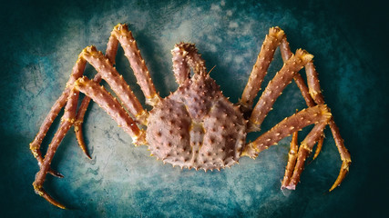 King Crab