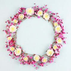 purple and white flowers on a blue background top view