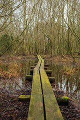 Wooden planks in footpath in nature reserve © Björn Kristersson
