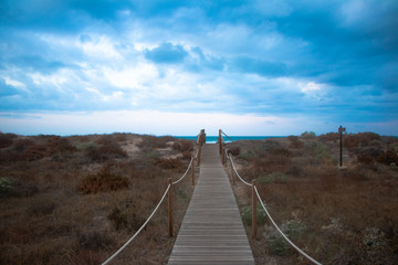 bridge over the river