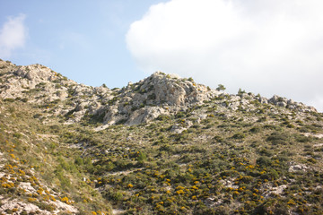 landscape of mountains of mallorca in spain