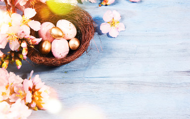Plakat Easter background with Easter eggs and spring flowers
