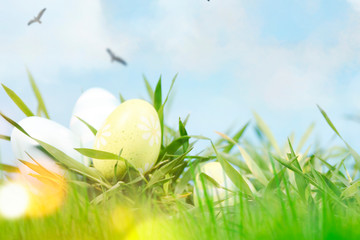 colorfully painted Easter eggs