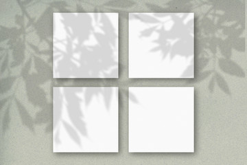 4 square sheets of white textured paper against a gray-green wall. Mockup overlay with the plant shadows. Natural light casts shadows from the tree's foliage. Flat lay, top view