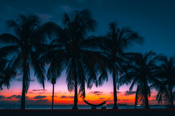Fototapeta na wymiar sunset palm beach tropical summer cuba miami florida tree sunrise sky clouds sea ocean island sun landscape scenery smile dusk beautiful coast blue orange coconut