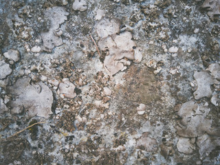 Fondo abstracto de roca.