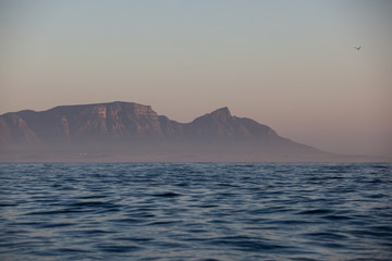 Early morning light shines on the dramatic coastline of False Bay, South Africa. This beautiful region is known for its fisheries, whales, and seasonal aggregation of Great White Sharks.