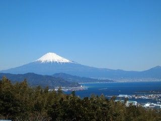 Fototapeta na wymiar 〈静岡〉富士山と清水港（Mt.fuji from shizuoka)