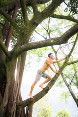 Obraz premium Climbing a Tree in Hawaii