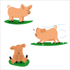 Included are cute illustrations with a mini pig in various poses. Vector illustration isolated on white background.