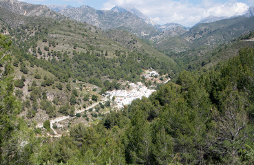 Fototapeta premium A view of pine clad mountains in southern Spain to the tiny hamlet of El Acebuchal. Nestling in a valley this rural setting is quiet and beautiful. But only a few miles from the Costa del Sol.