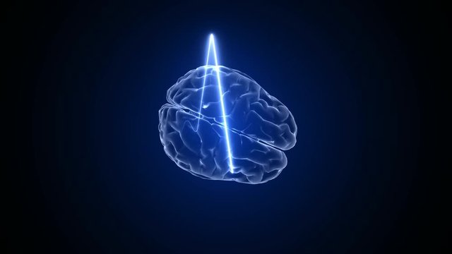 Heart pulse and brain animation 3d. Medical and scientific. Heartbeat background.