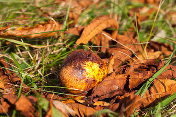 warm weather in the Park