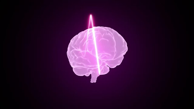 Heart pulse and brain animation 3d. Medical and scientific. Heartbeat background.