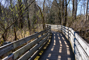 Well maintained raised boardwalk trail through woods on a sunny day