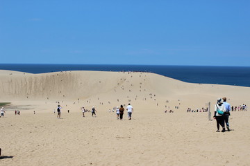 青空の元の鳥取砂丘　tottori sand dune　国立公園