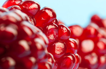 red juicy pomegranate