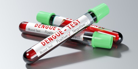 Dengue virus - test tubes, blood tests - 3D illustration