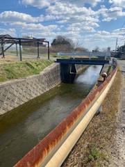 bridge over the river