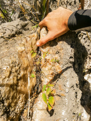 roca color crema y mano