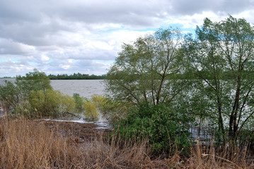 Spring high water on the Irtysh River