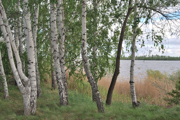 Spring high water on the Irtysh River