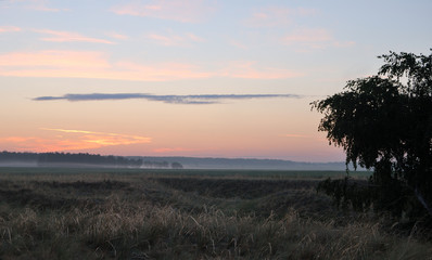 Fototapeta premium Morning in the field