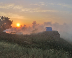 Morning in the field