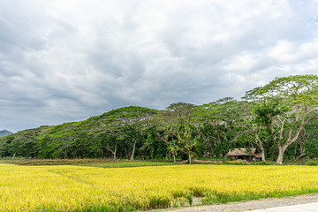 田舎　Countryside