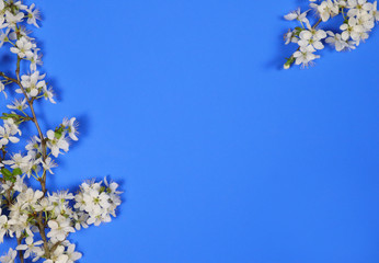 Frühlingsblumen Hintergrund