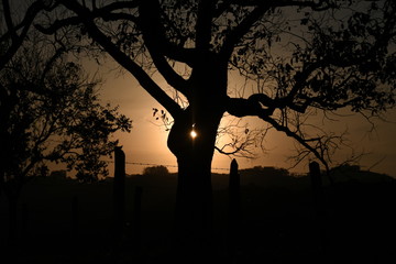 Sunset on the Farm