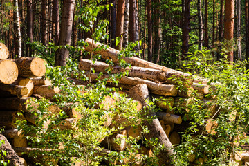 Fototapeta premium industrial site