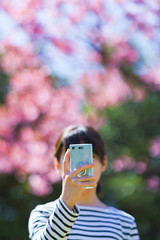 女子　女性　桜　サクラ　春　スマホ　撮る　SNS　シェア　共有　コミュニケーション　人物　日本人