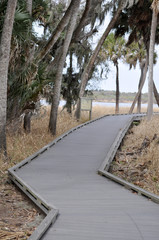 Access to the Myakka river environment is served by wooden boardwalks for visitor safety.