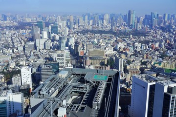 Fototapeta premium 東京の都心眺望