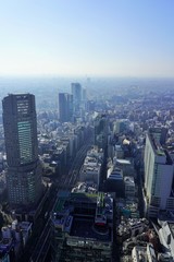 東京の都心眺望