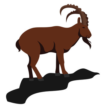 Mountain goat, illustration, vector on white background