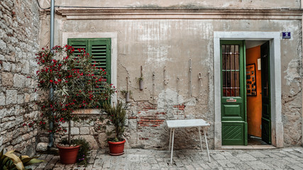 Fototapeta na wymiar window with flowers