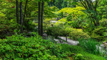 Fototapeta na wymiar Vandusen botanical gardens in Vancouver city