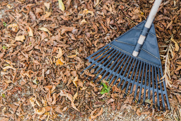 rake next to pile of fallen autumn leaves on gravel