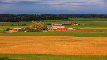 Fototapeta na wymiar Farm view in scenic Whidbey island ,Washington state