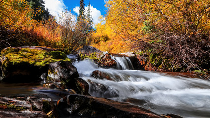 Maroon creek through colorful trees in Colorado

