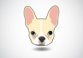 Cute French Bulldog Puppy Face