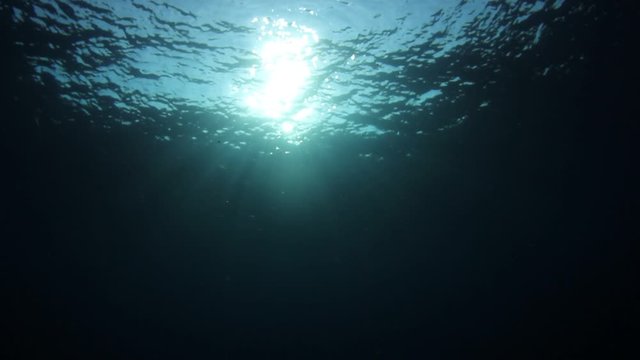 Underwater sunlight in blue ocean video	
