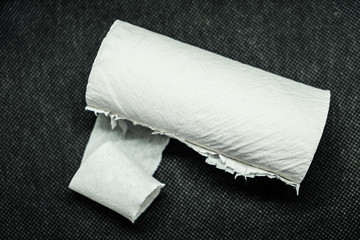 A roll of used toilet paper