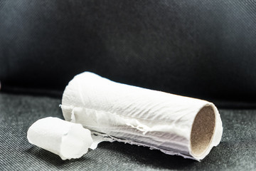 Fototapeta premium A roll of used toilet paper